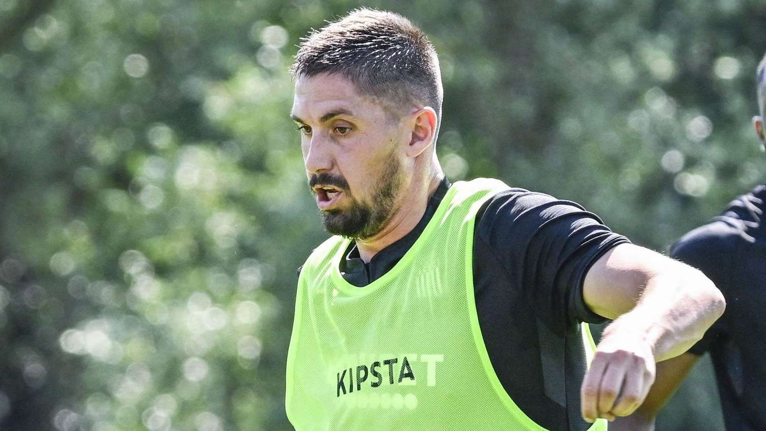 更为成熟和 更为成熟和